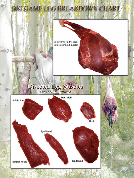Breaking Down the Leg Muscles of a Big Game Animal